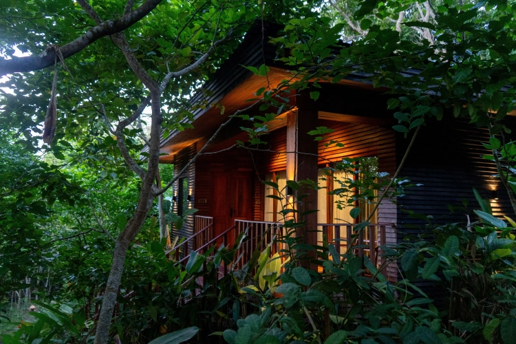 Duplex Villa