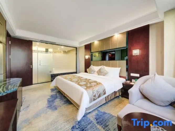 1 Bedroom Deluxe Suite with city view