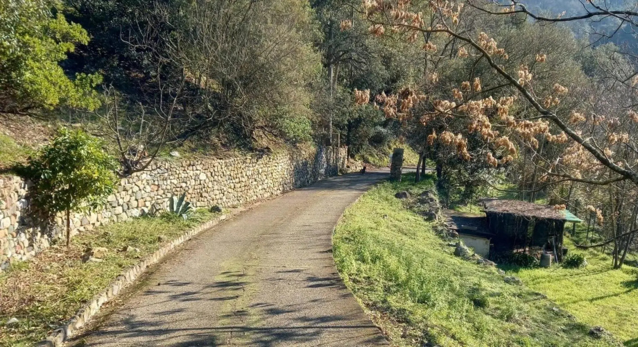 Villa ai Sugheri