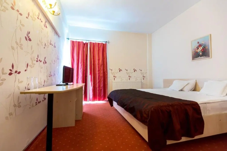 Standard Double room with balcony and with view