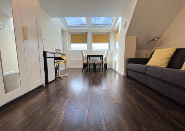 Unique Luxurious Jacuzzi PENTHOUSE DUPLEX in City Center! 2 BATHS! FREE PARKING!
