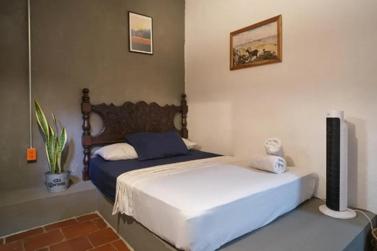 Hostal Cactus