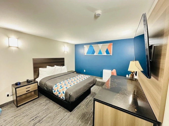 Standard Double Basement room