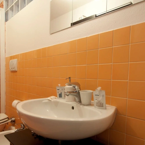 Double Apartment