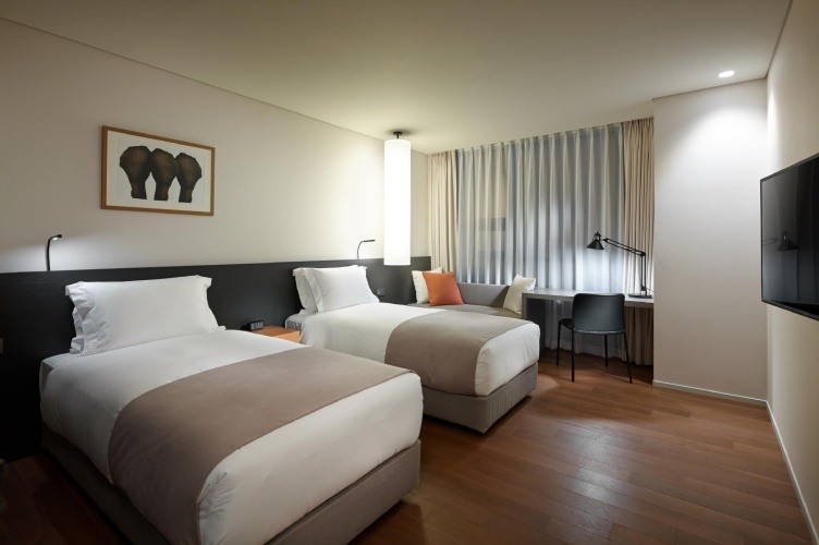 Deluxe Twin room with city view