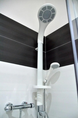 Le Sculture