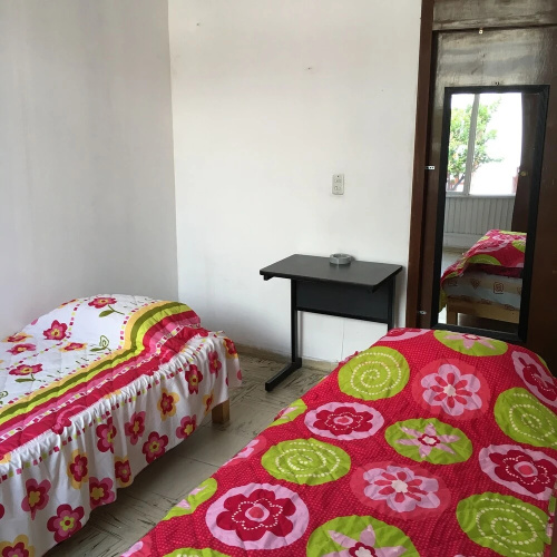 Green House Hostal - Hostel