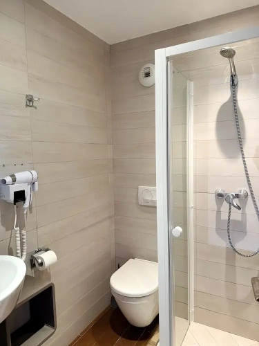 Standard Double room with mountain view