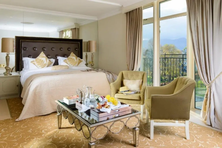 Deluxe Double room with garden view