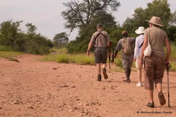 Rhino Safari Camp