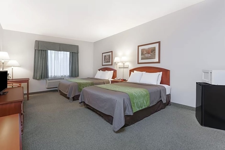 Quadruple Suite