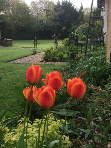 Woodacre B&B