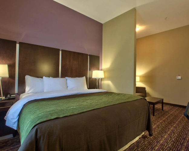 Comfort Inn & Suites Dothan East