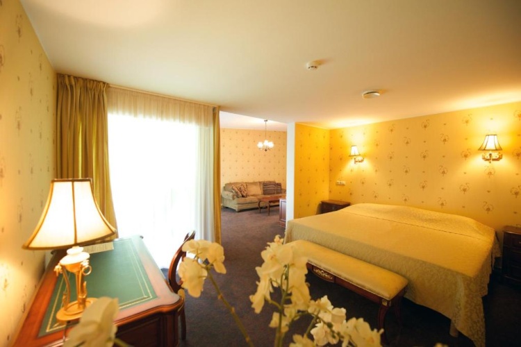 Junior Suite with balcony and with view