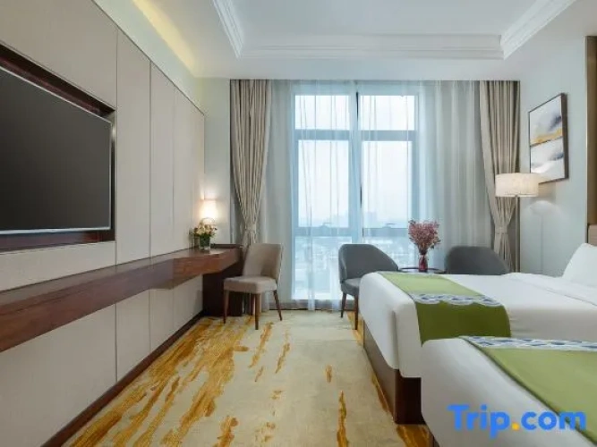 Deluxe Twin room with city view