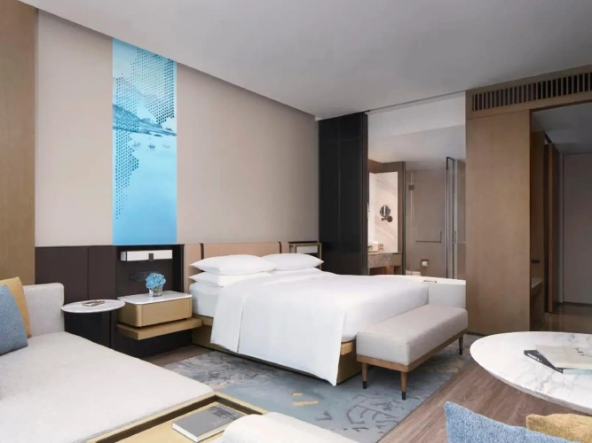 Deluxe Double room with city view