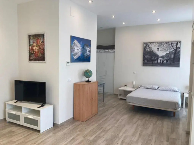 Spacious studio apartment in Cabanyal