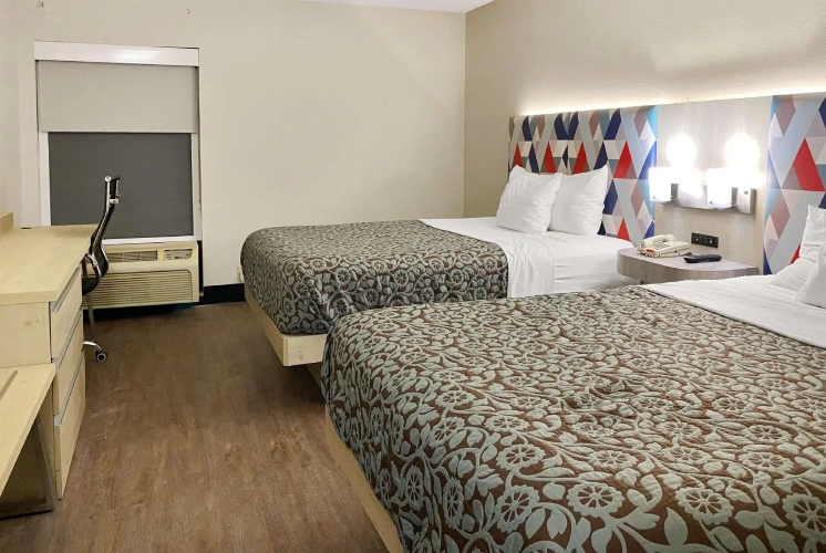 Quadruple Suite