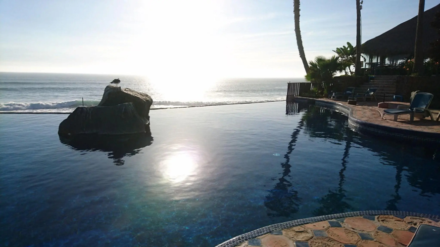 Las Rocas Resort & Spa photo 23