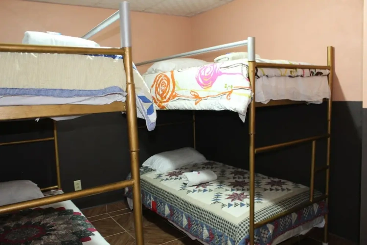 Economy Apartment
