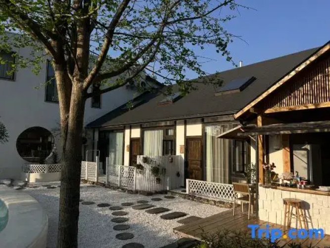 Xingyi Wanfeng Forest Aoki Yaju