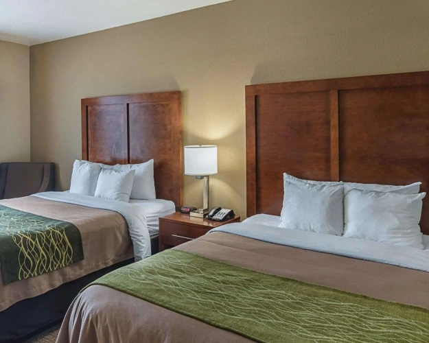 Standard Quadruple room