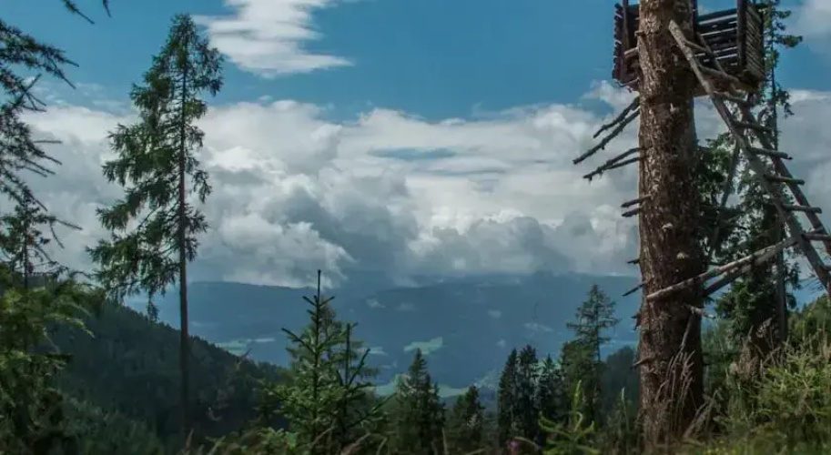 Almhütte Waldbauer