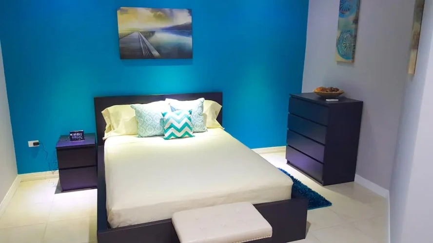 2 Bedrooms Superior Basement Apartment