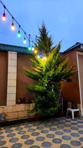 Vip House In Gabala-4