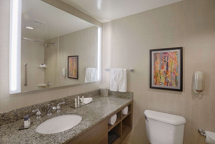 DoubleTree by Hilton San Francisco Airport North Bayfront photo 10
