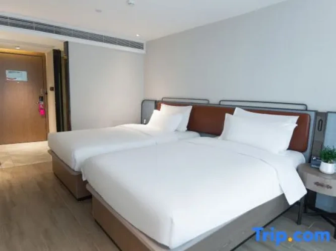 Deluxe Double room with city view