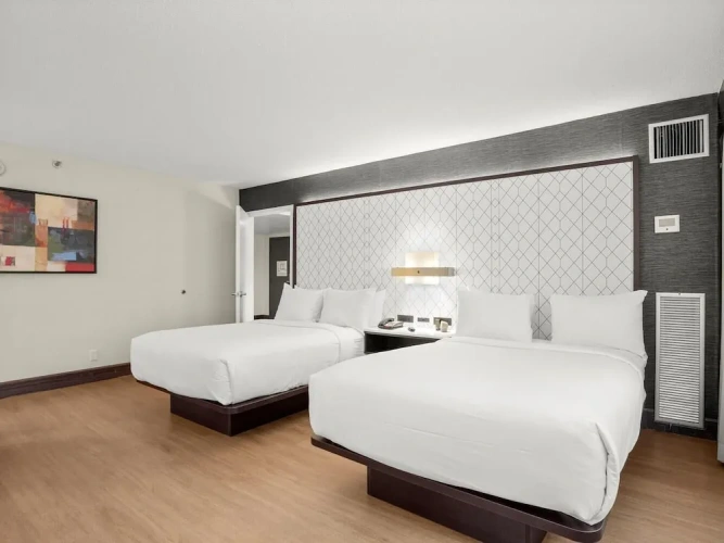 2 Bedrooms Executive Double room