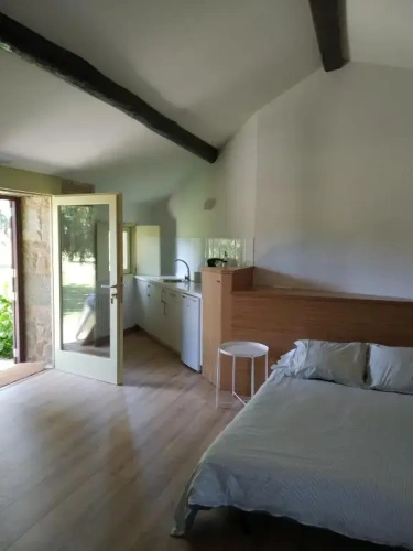 Double Studio with garden view