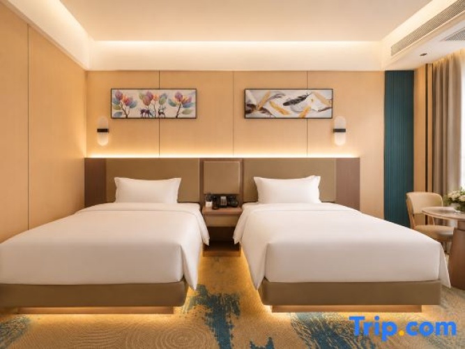Deluxe Twin room with city view