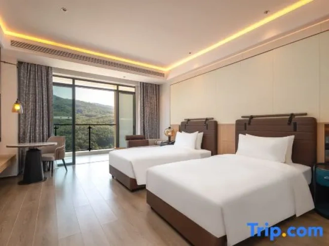 Executive Twin room with city view