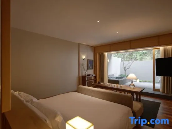 Standard Double room with courtyard view