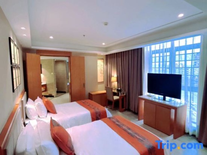 Standard Double room with city view