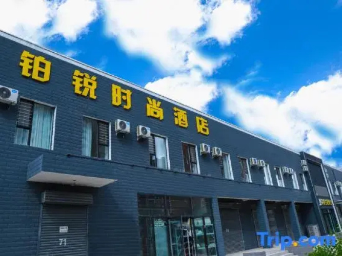 Datong Borui Theme Hotel