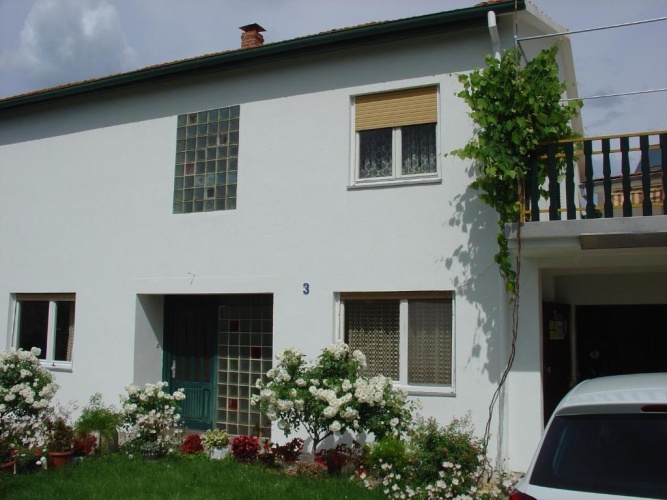 Basement Apartment