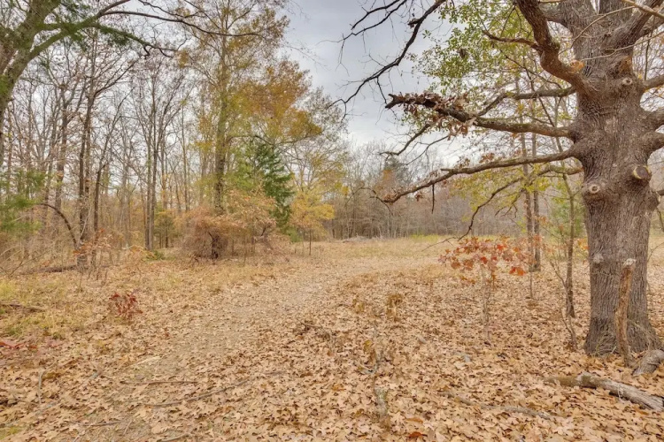 Serene Yantis Getaway - 1 Mi to Lake Fork!