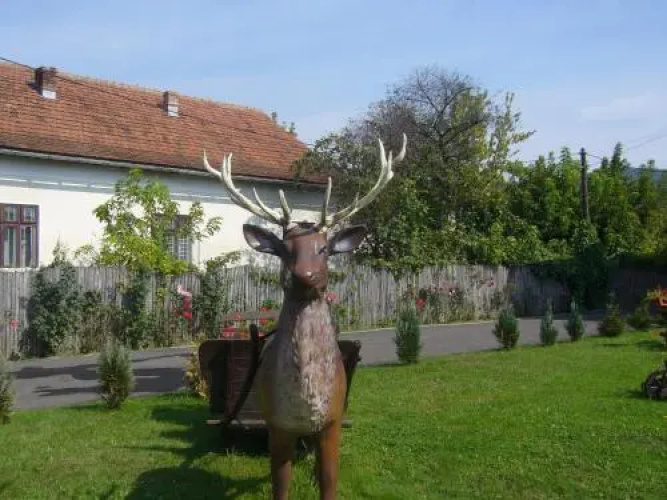 Pensiunea Mara