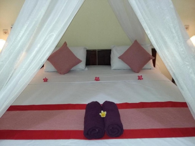 Standard Double room with garden view