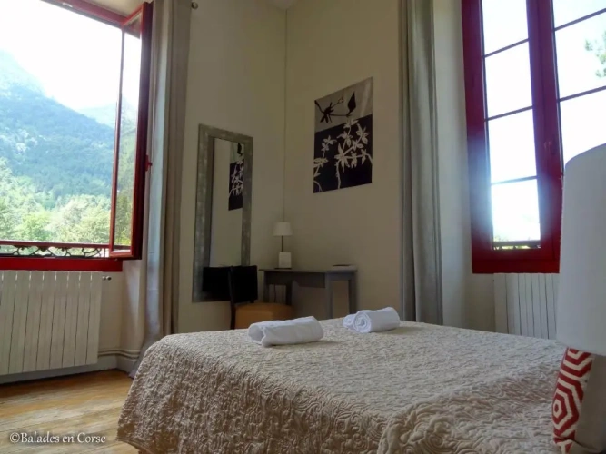 Standard Double room with view