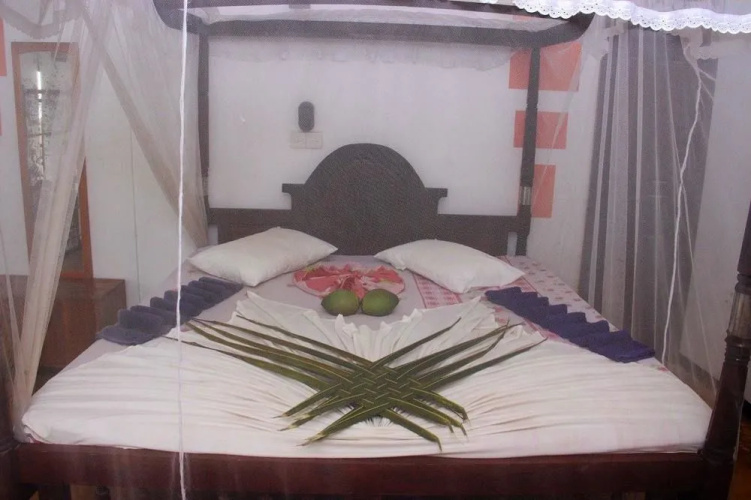 Dinu's Resort