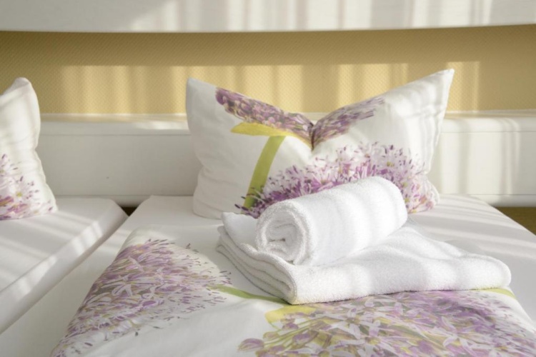 Standard Single room with balcony and with view