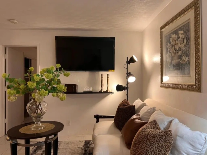 1 Bedroom Apartment