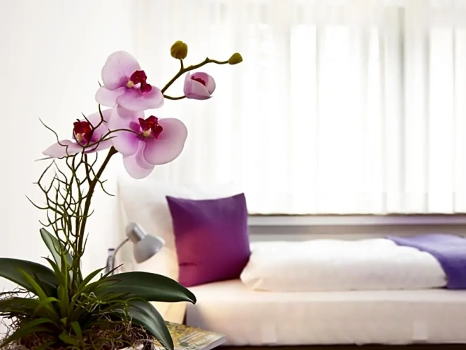 Economy room