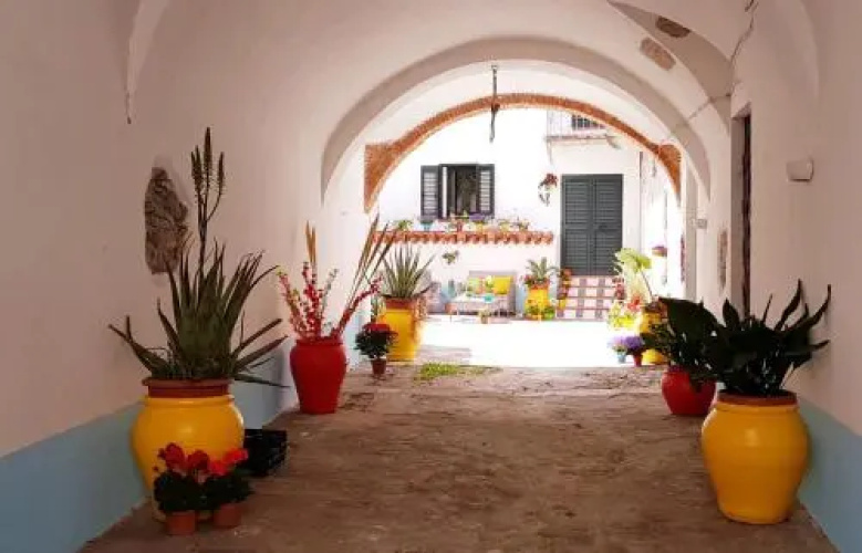 Arcada II