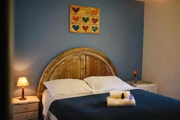 Standard Double room with garden view