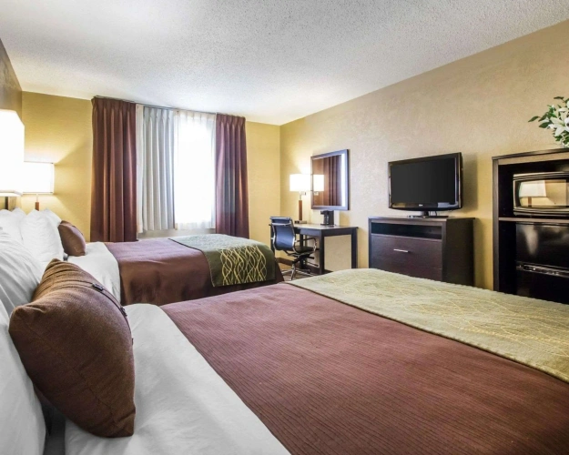 Standard Quadruple room